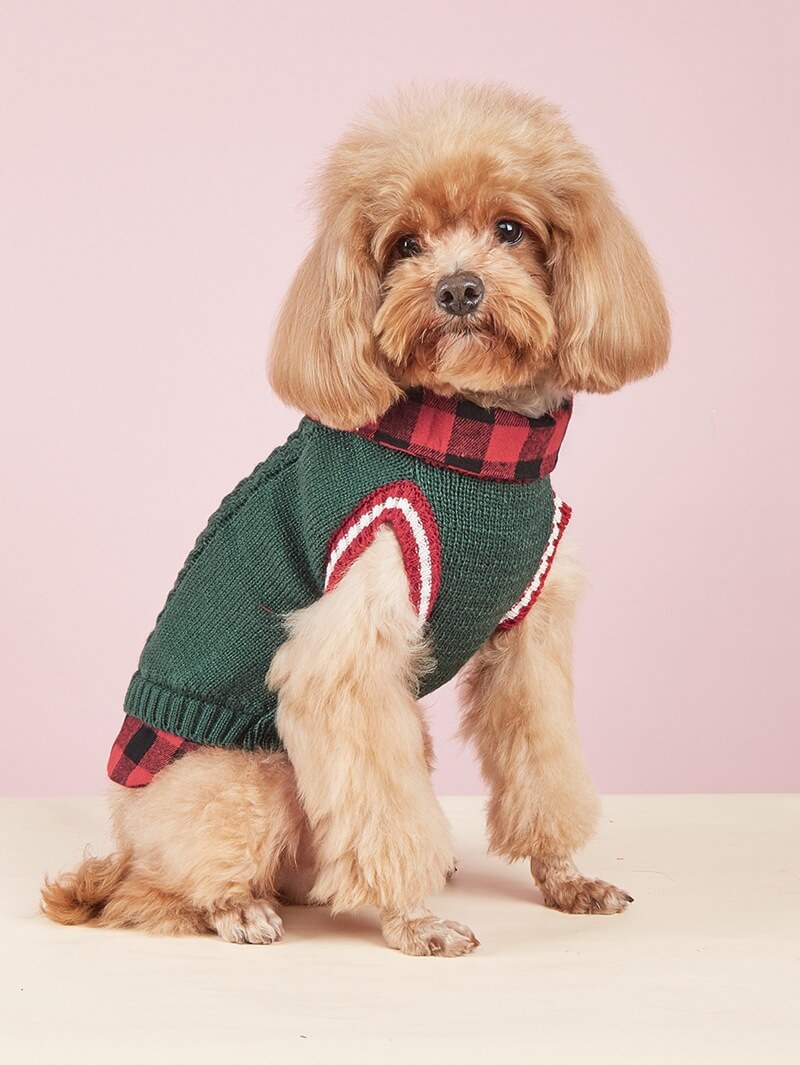 Perfetto per l'autunno e l'inverno, giubbotto con collo a quadri e lavorazione a maglia per cani.