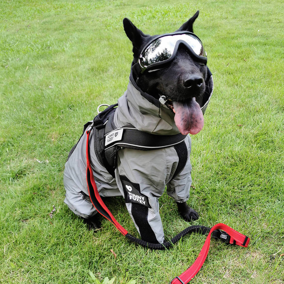 Accessori per cani riflettenti, impermeabili e per tutte le condizioni atmosferiche, giacca antipioggia.