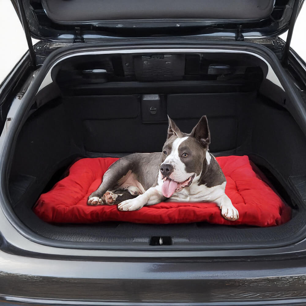 Materassino da viaggio per cani pieghevole, resistente e impermeabile per esterni