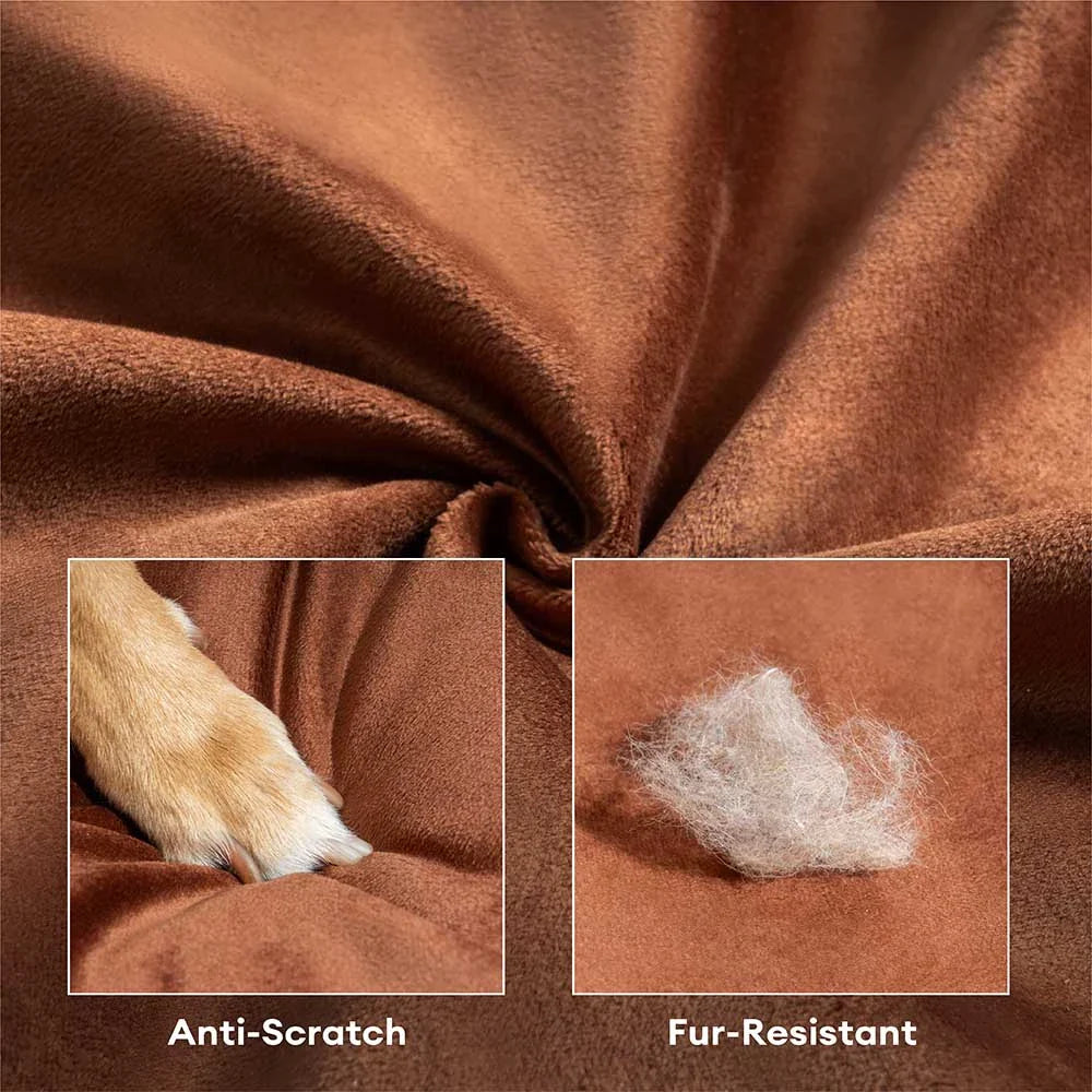 Letto ortopedico per cani in velluto di seta di lusso con cuscino - RegalRest