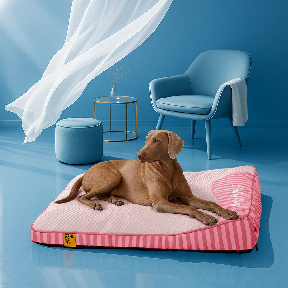 Letto ortopedico per cani rettangolare lavabile e rinfrescante extra large - Cooling Nap