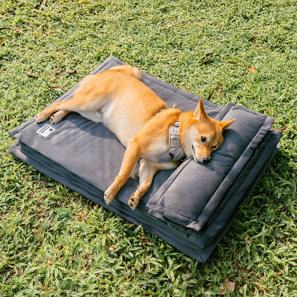 Letto per cani con supporto in spugna per il sonno profondo e anti-ansia