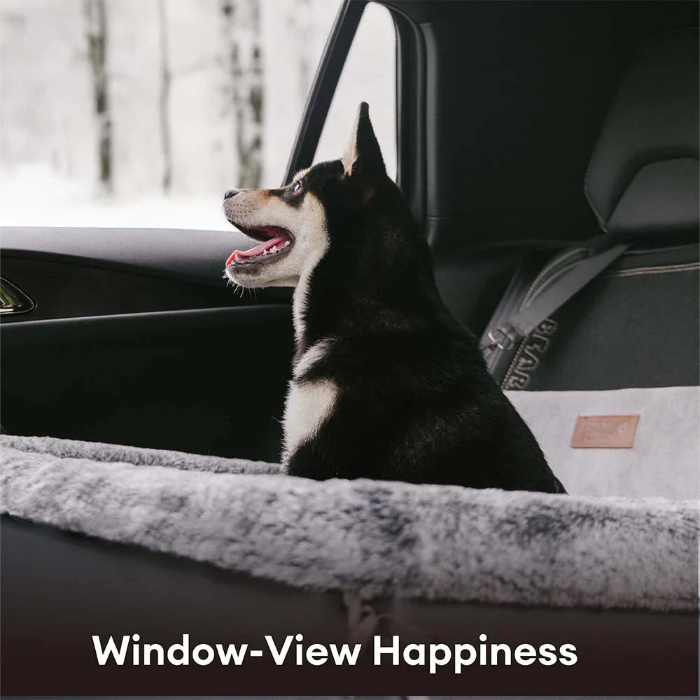 Sicurezza in viaggio: lettino dog car all-season BaseCamp