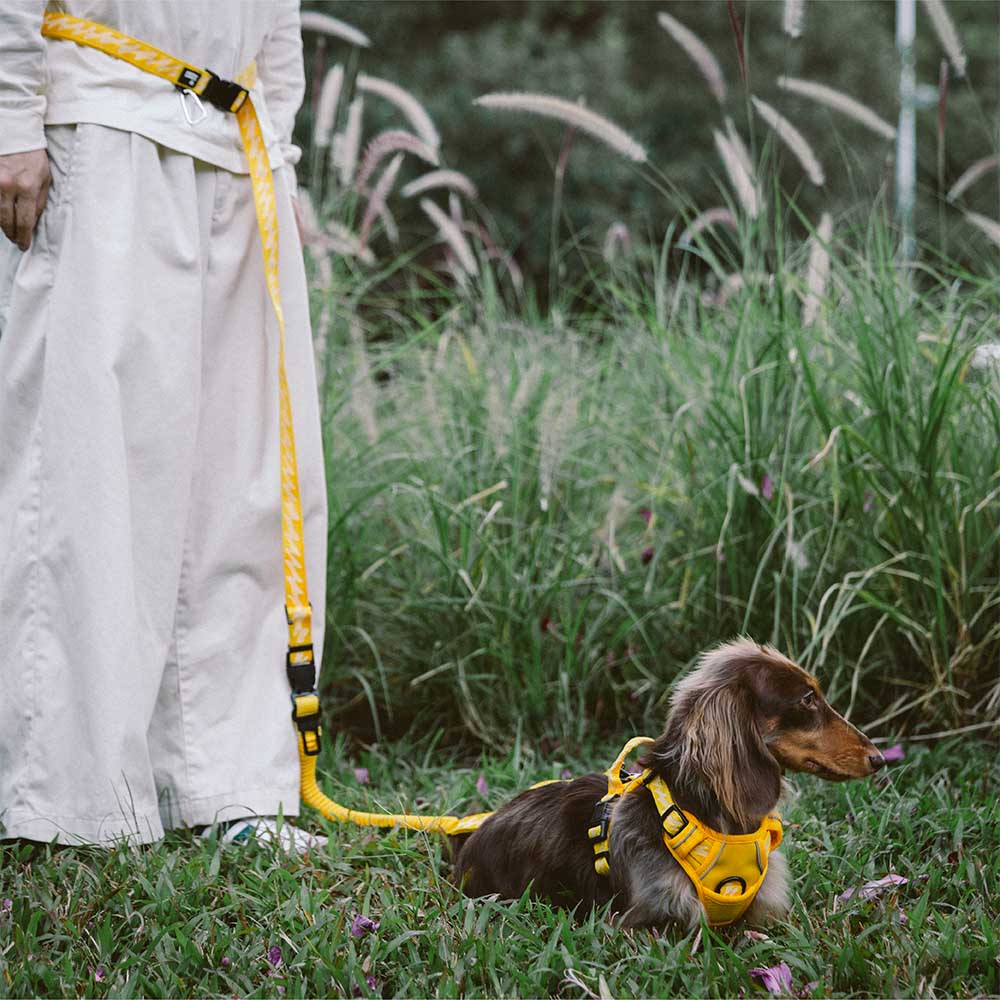 Guinzagli per cani grandi in nylon regolabili e riflettenti a doppio lato con manico morbido - Flexi Walker