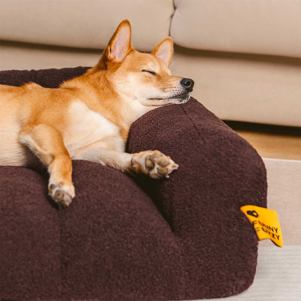 Cuscino ortopedico per cani con grande supporto morbido e testiera - Cloudy Napper