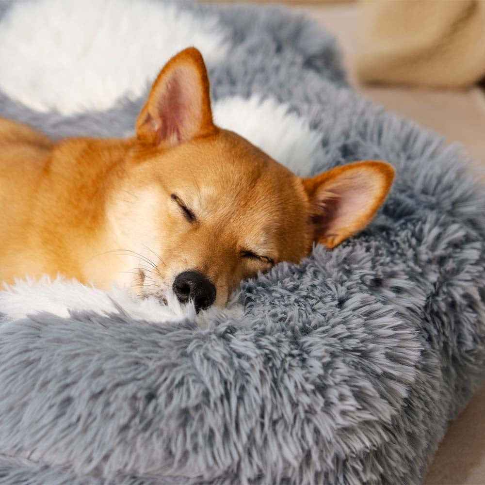 Letto per cani lavabile, soffice, antiscivolo e accogliente - Paw Spot
