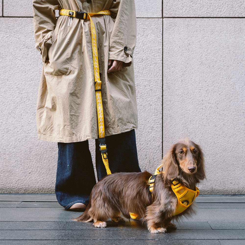 Guinzagli per cani grandi in nylon regolabili e riflettenti a doppio lato con manico morbido - Flexi Walker