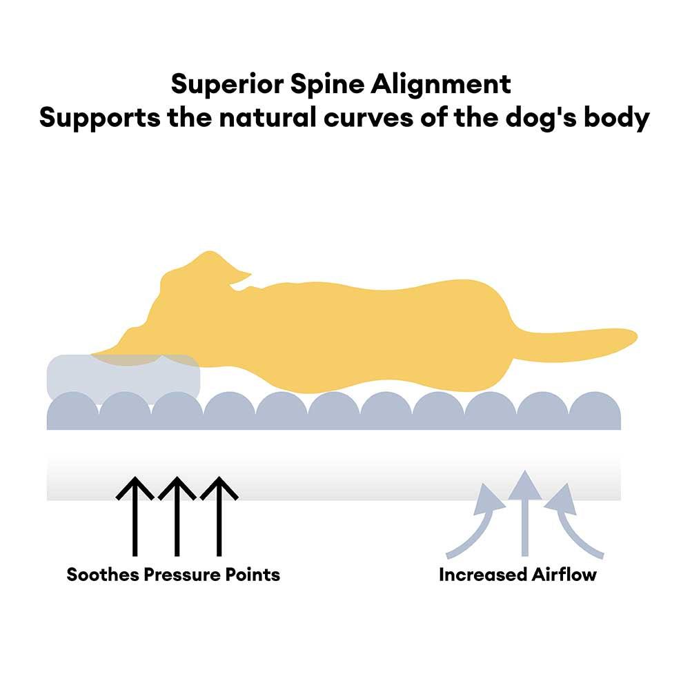 Cuscino ortopedico per cani con grande supporto morbido e testiera - Cloudy Napper
