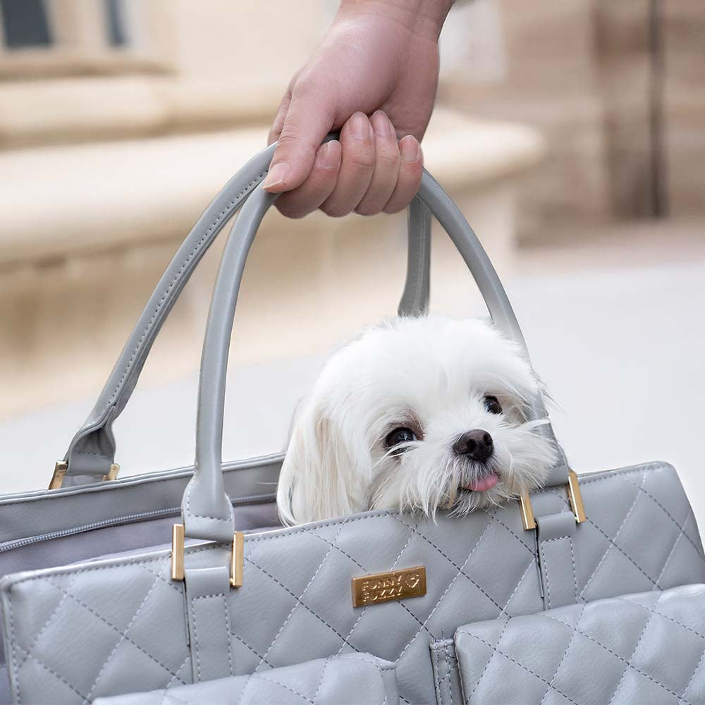 Borsa da Viaggio Multifunzione e Condivisa Cane-Umana di Grande Capacità - Wandering Tail