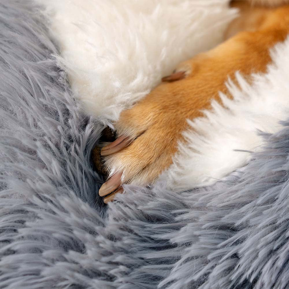 Letto per cani lavabile, soffice, antiscivolo e accogliente - Paw Spot