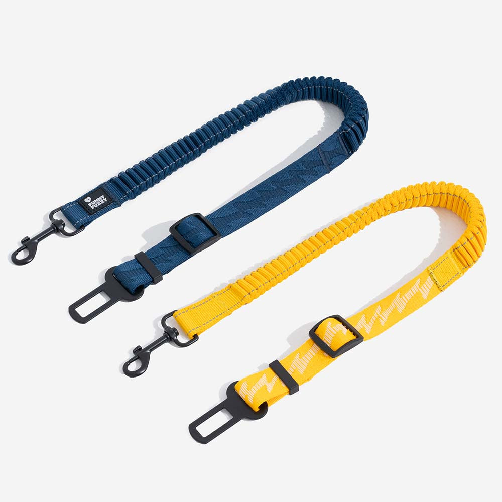 Cintura di sicurezza regolabile per cani freschi accessori per auto