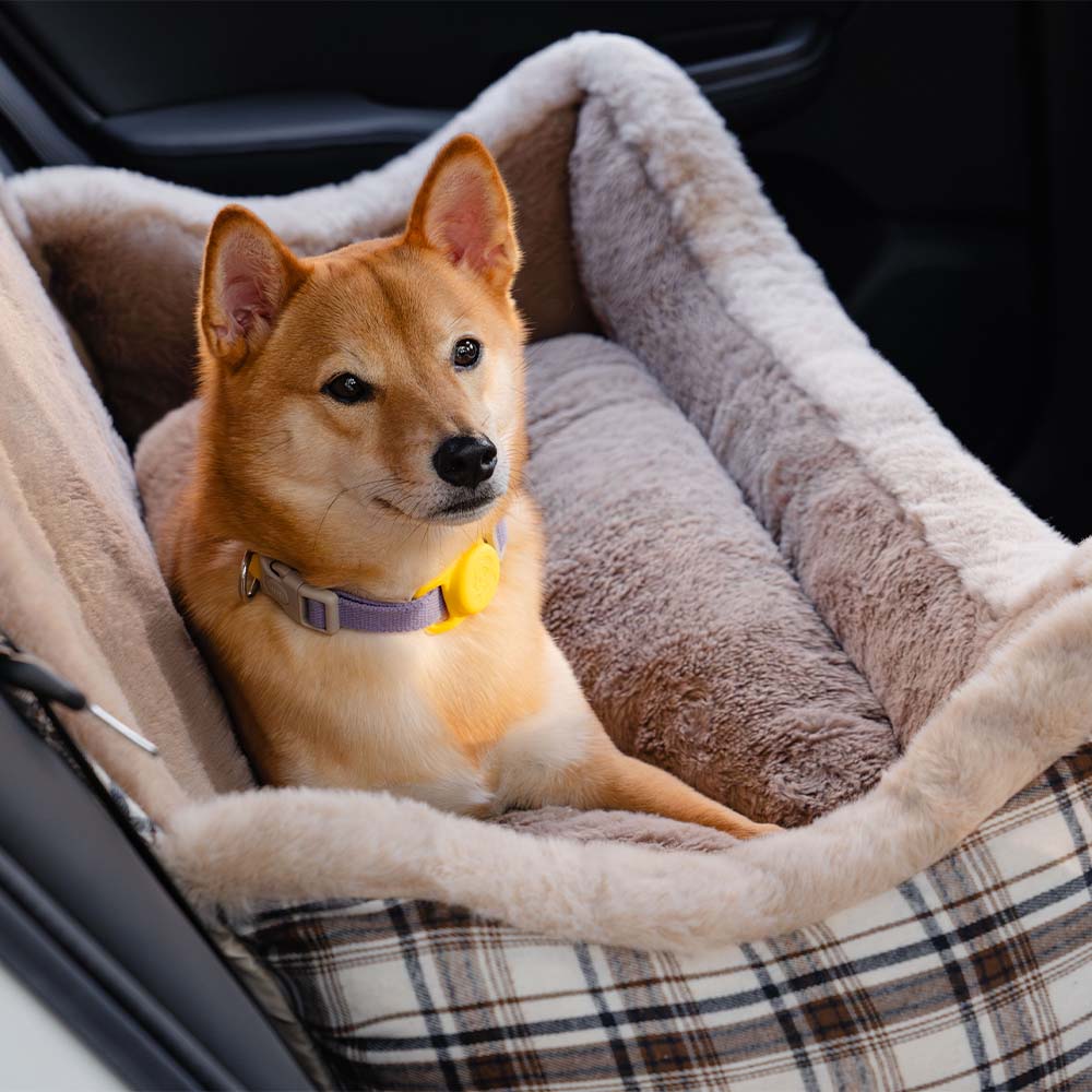 Grande seggiolino auto per cani classico e soffice - Mantieni sicuro