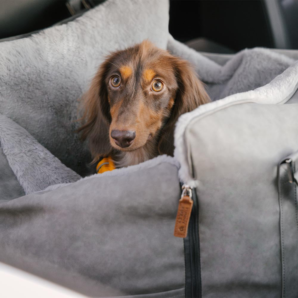 Grande trasportino per cani morbido e caldo, sicuro e antiscivolo - Seggiolino per auto Ride and Rover.