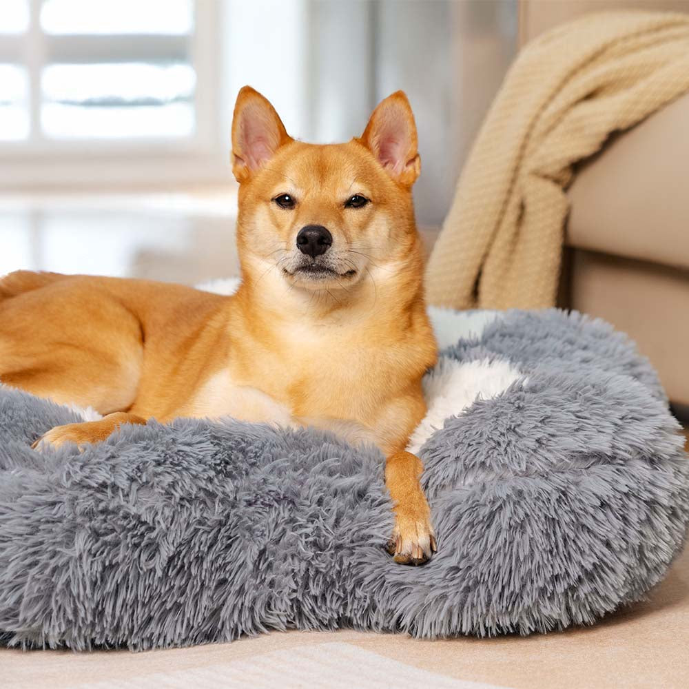 Letto per cani lavabile, soffice, antiscivolo e accogliente - Paw Spot