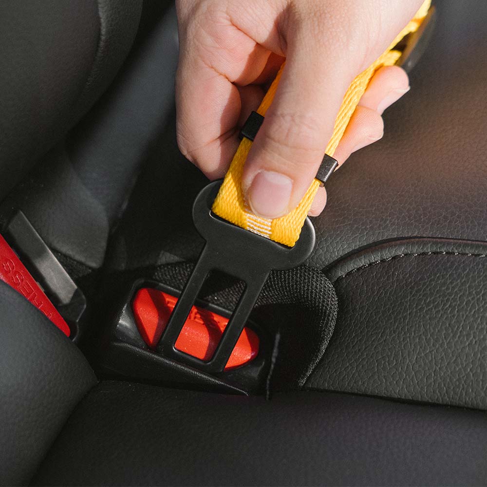 Cintura di sicurezza regolabile per cani freschi accessori per auto