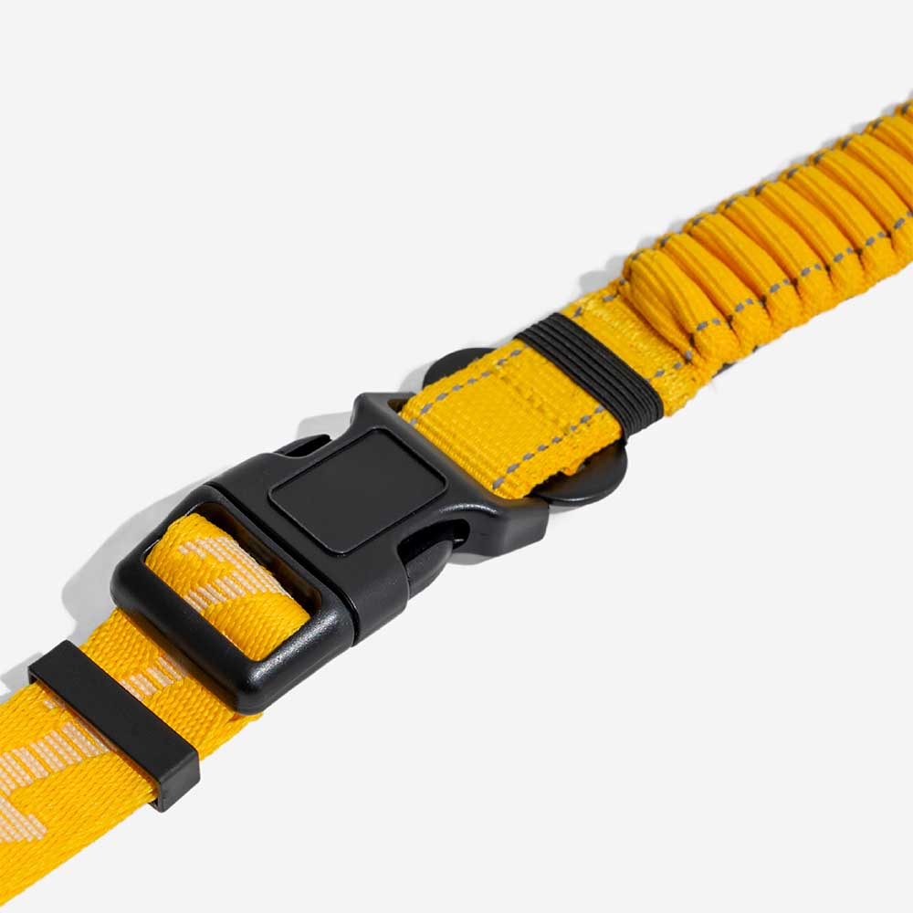 Guinzagli per cani grandi in nylon regolabili e riflettenti a doppio lato con manico morbido - Flexi Walker