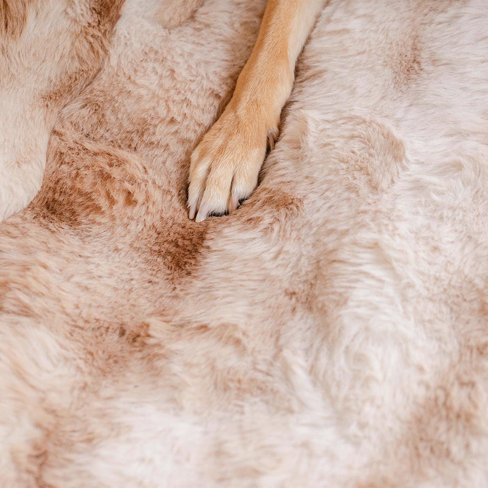 COPERTA PER ANIMALI MORBIDA E CONFORTEVOLE - PROTEGGI SEDILE AUTO - Surestep