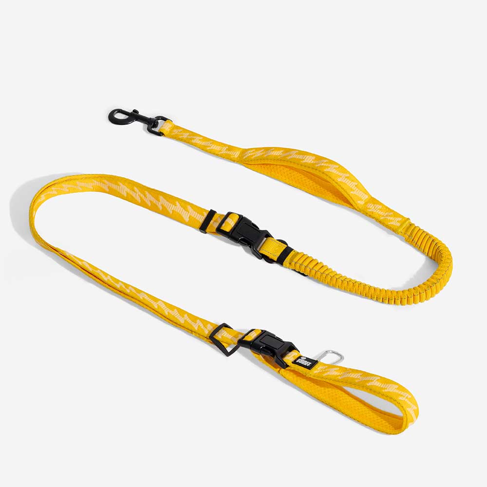Guinzagli per cani grandi in nylon regolabili e riflettenti a doppio lato con manico morbido - Flexi Walker
