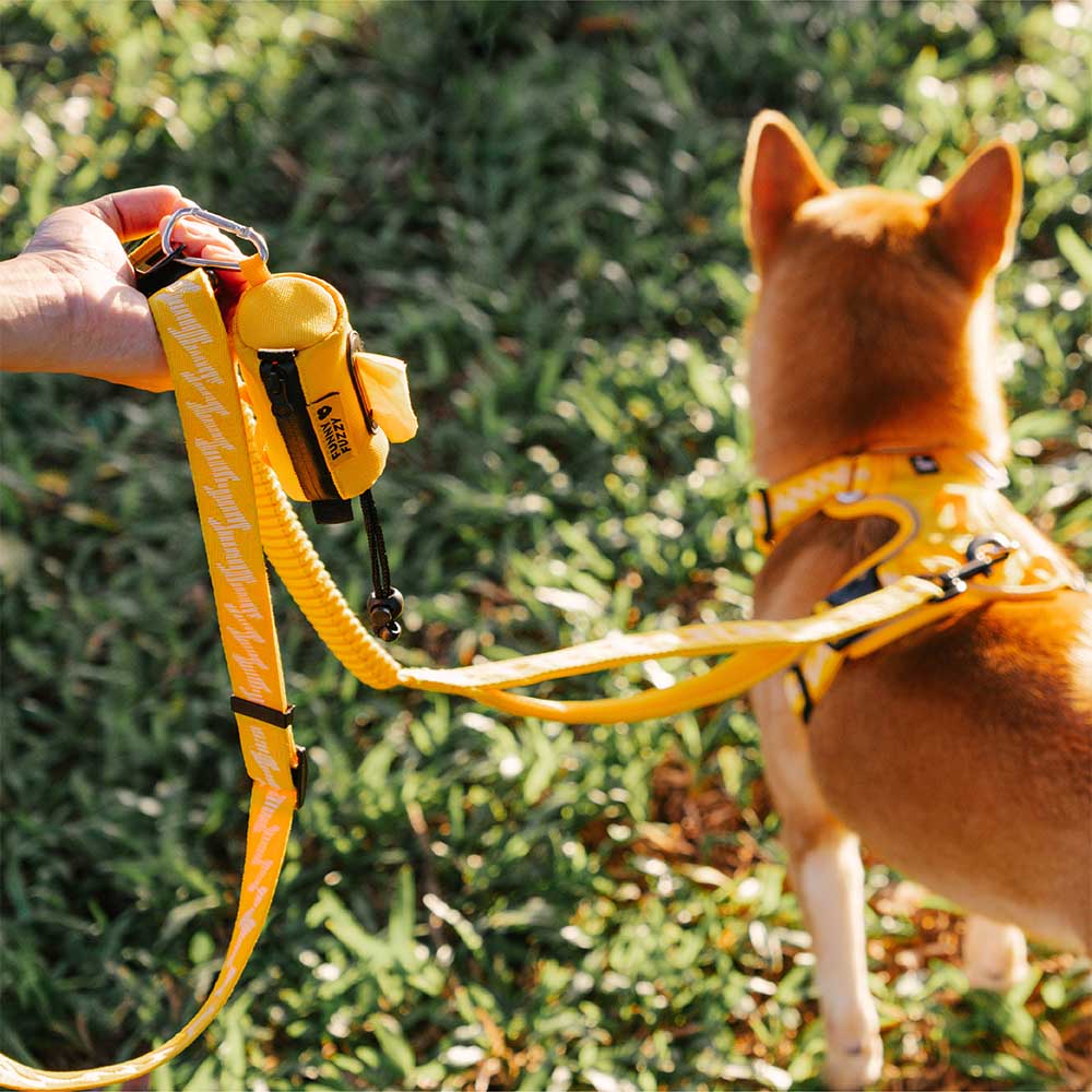 FUNNYFUZZY Guinzaglio Impermeabile con Dispenser di Sacchetti per Feces Attachabile - Flexi Walker
