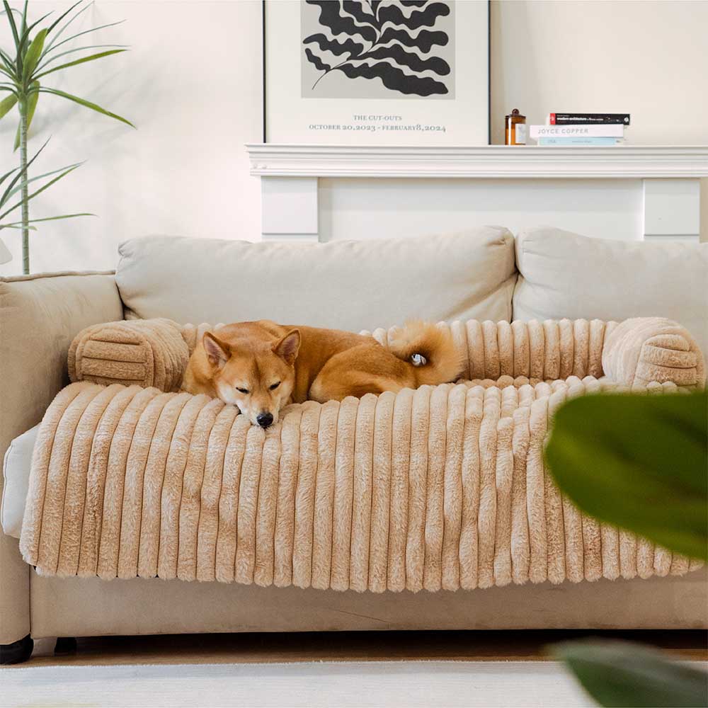 Coperna per Sofà in Peluche Cuscino per Cani Copertura per Divano