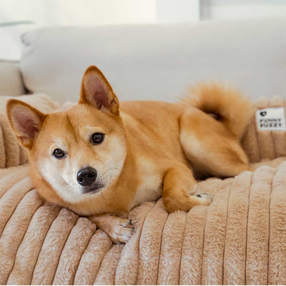 Coperna per Sofà in Peluche Cuscino per Cani Copertura per Divano