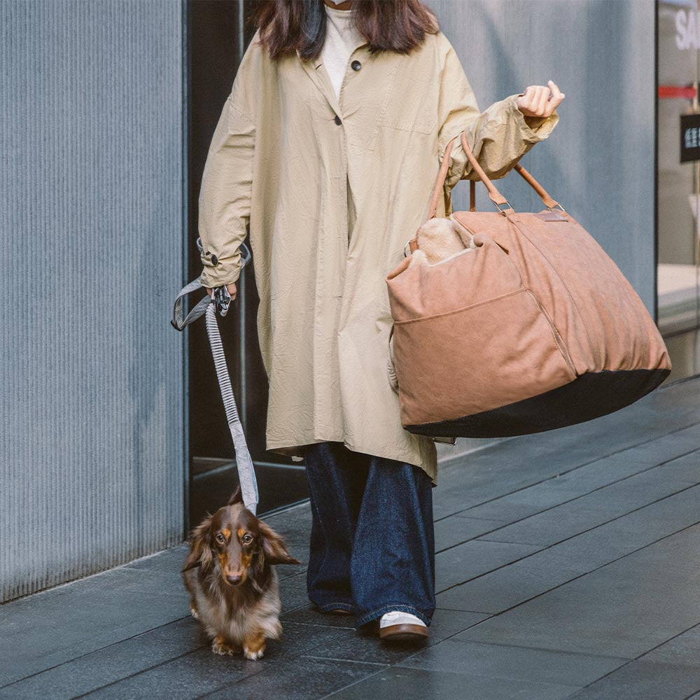 Grande trasportino per cani morbido e caldo, sicuro e antiscivolo - Seggiolino per auto Ride and Rover.