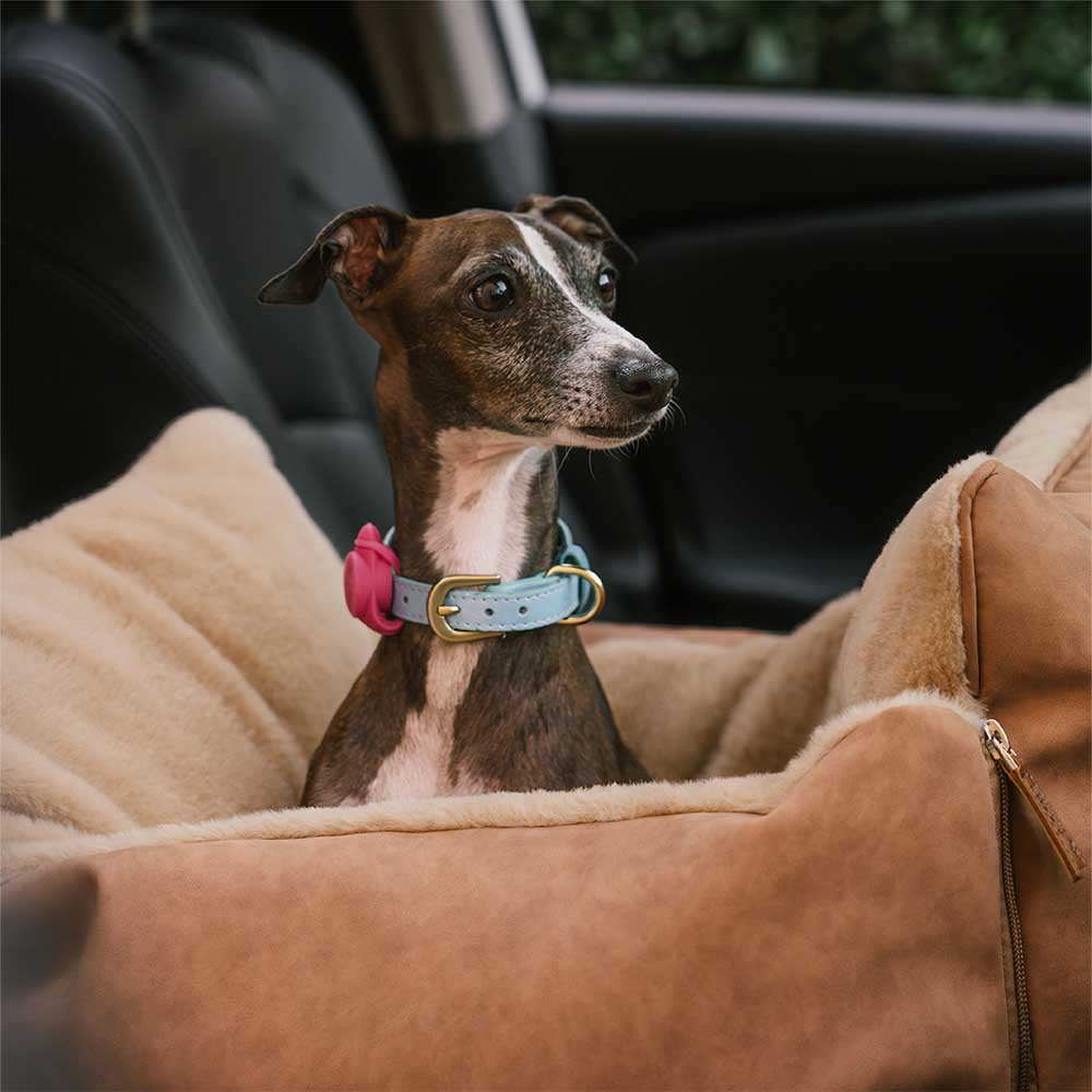 Grande trasportino per cani morbido e caldo, sicuro e antiscivolo - Seggiolino per auto Ride and Rover.