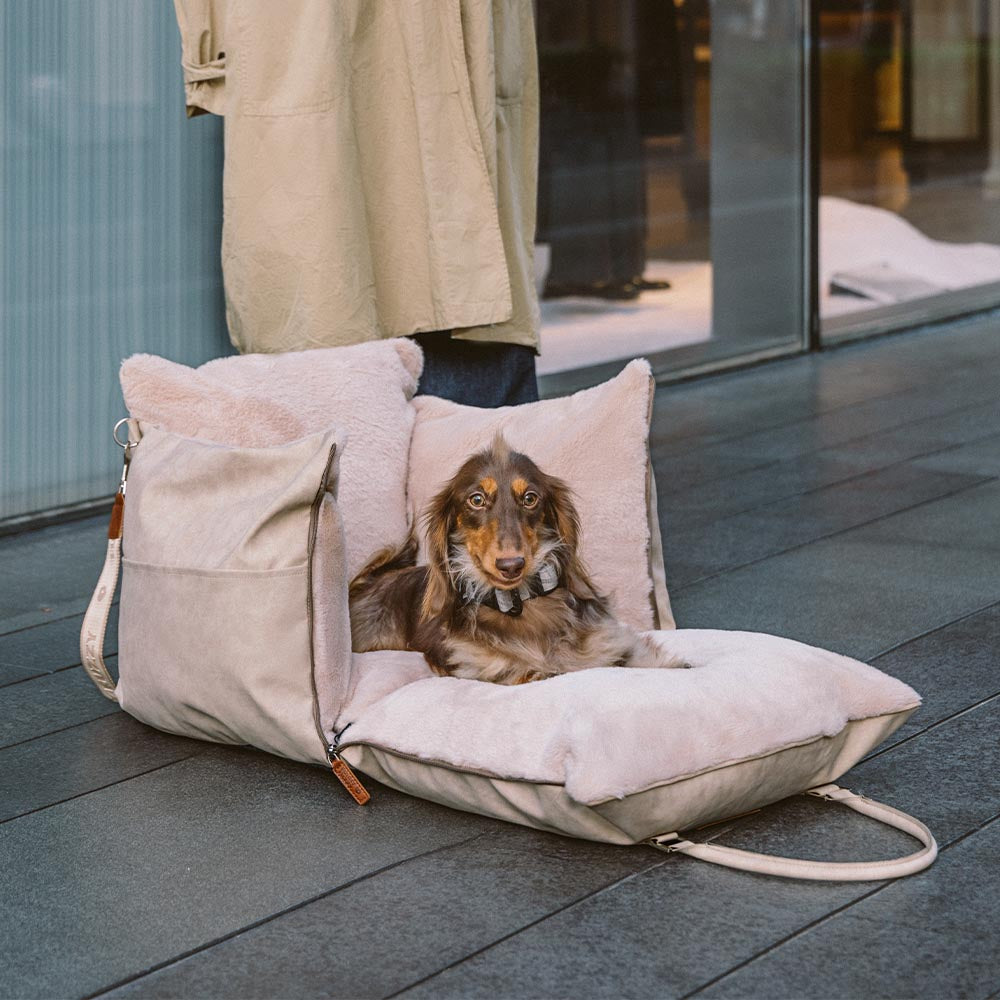 Grande trasportino per cani morbido e caldo, sicuro e antiscivolo - Seggiolino per auto Ride and Rover.