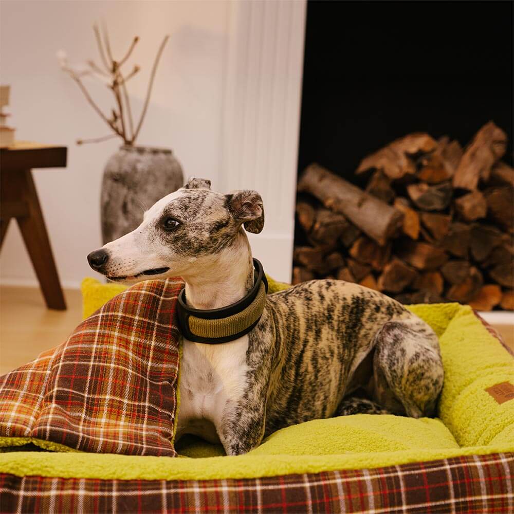 Coperte Piega Vintage Tartano Lavabili di Grande Dimensione per Cani - Avocuddle
