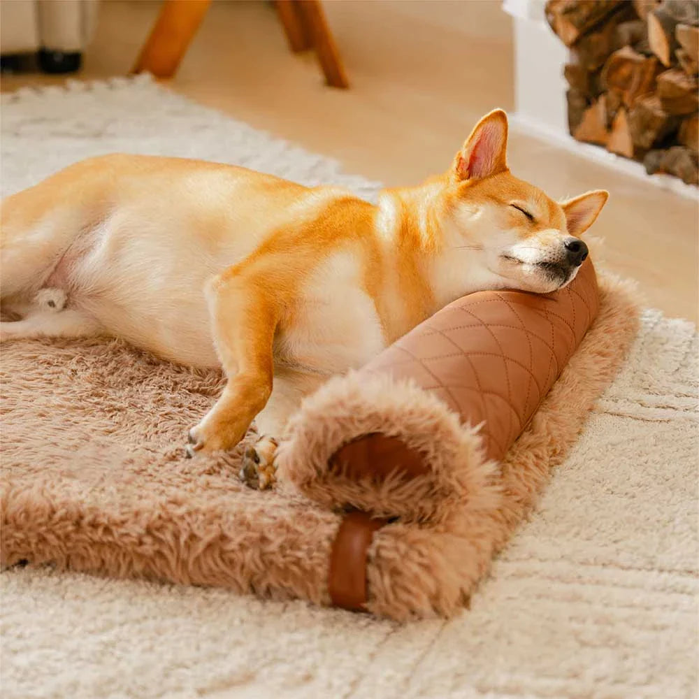 Tappetino per cani in similpelle bifaccia e caldo in peluche, con spugna removibile e cuscino