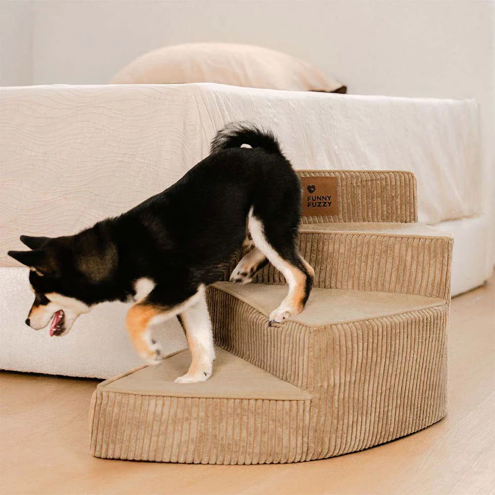 Scale per animali domestici a spirale rimovibili, amichevoli per le articolazioni in corda a coste - CreamyStep