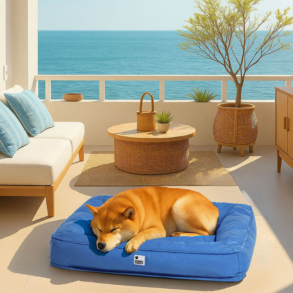 Letto Ortopedico Impermeabile per Cani di Taglia Grande