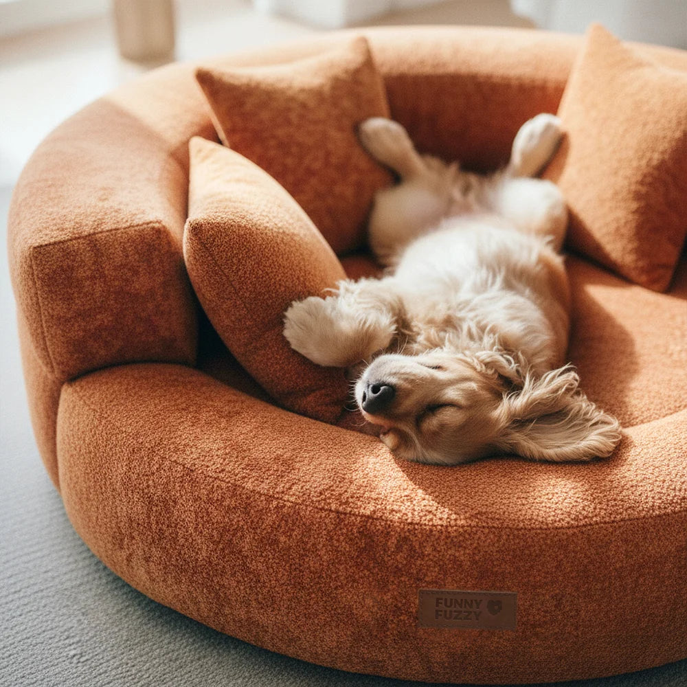 DreamNest – Letto ortopedico a ciambella in velluto con diamanti