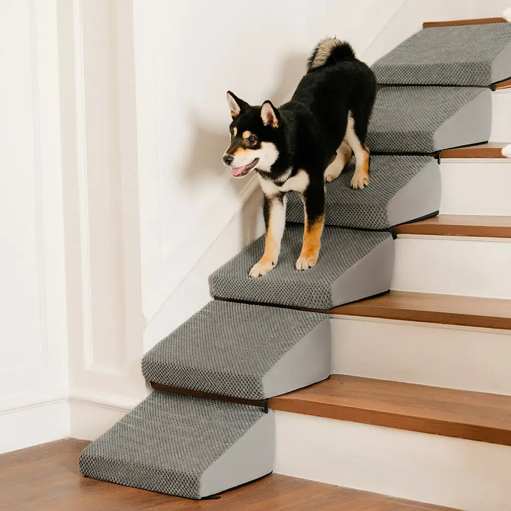 Rampe per cani in schiuma modulare con scalini per scale con velcro