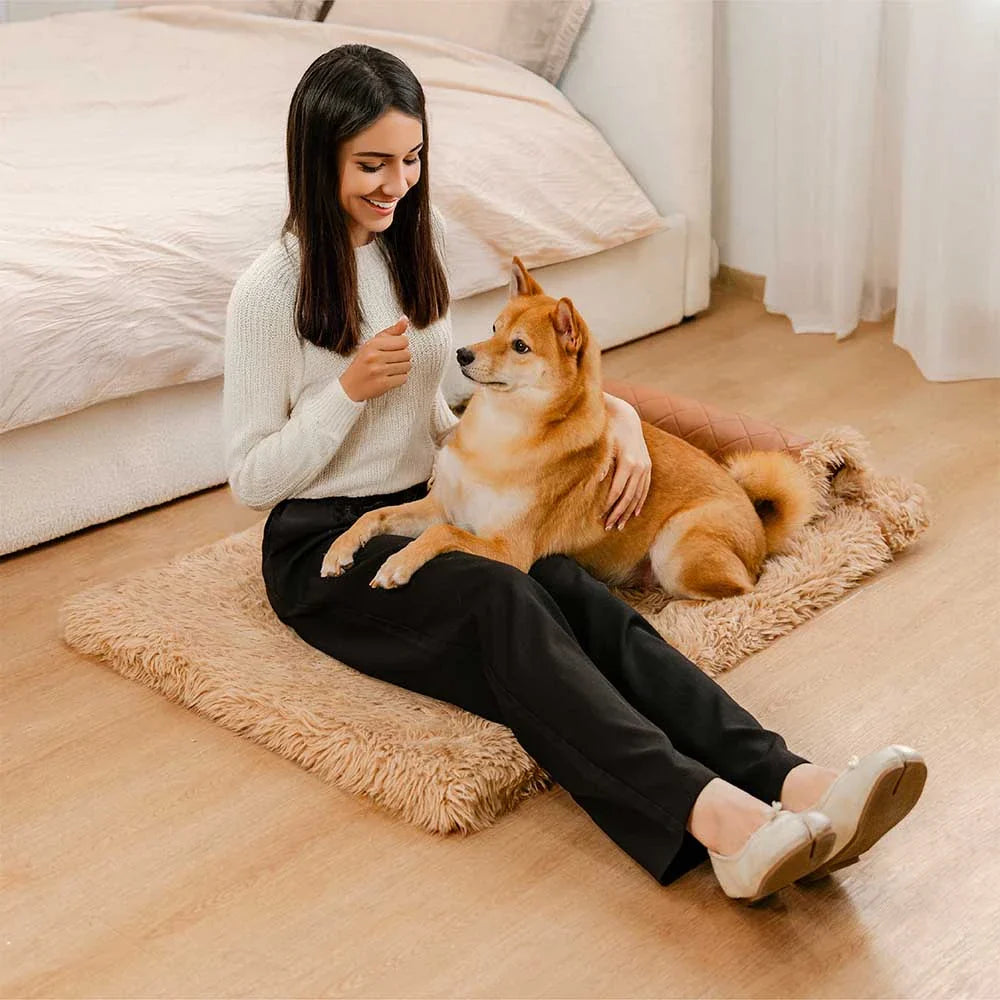 Tappetino per cani in similpelle bifaccia e caldo in peluche, con spugna removibile e cuscino