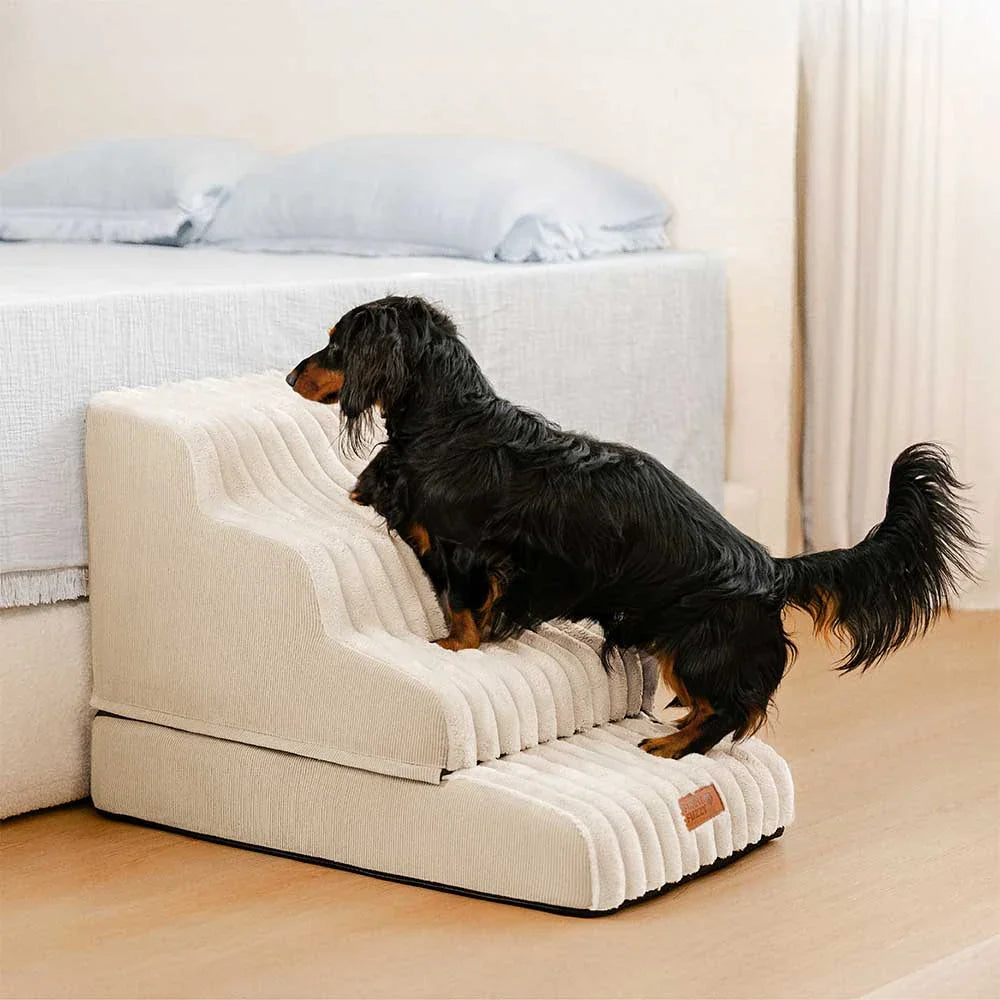CreamyRamp Scala e Letto per Animali 2-in-1 in Morbido Plush Rimovibile