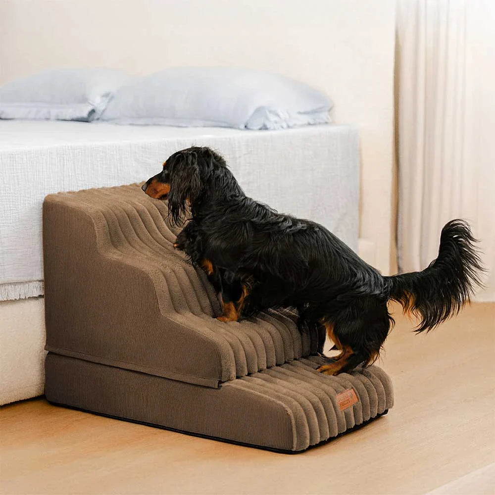 CreamyRamp Scala e Letto per Animali 2-in-1 in Morbido Plush Rimovibile