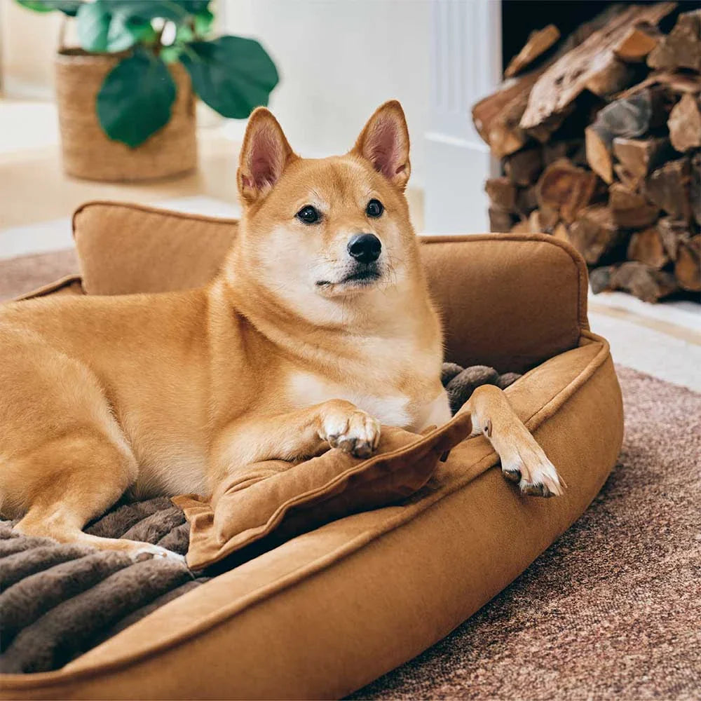 Cuscino per cani lavabile in suede finto retro, doppio lato con cuscino – SweetDream
