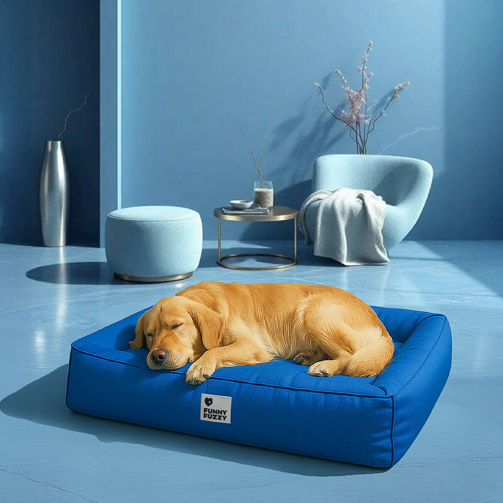 Letto Ortopedico Impermeabile per Cani di Taglia Grande