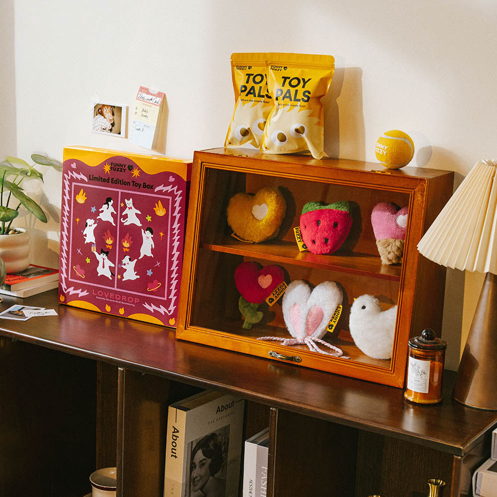 FUNNYFUZZY Scatola dei giocattoli – edizione limitata