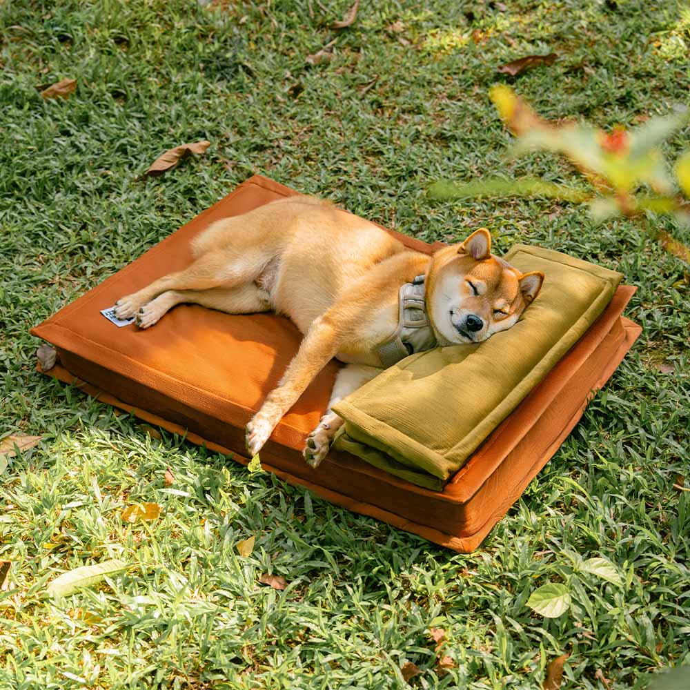 Letto per cani con supporto in spugna per il sonno profondo e anti-ansia