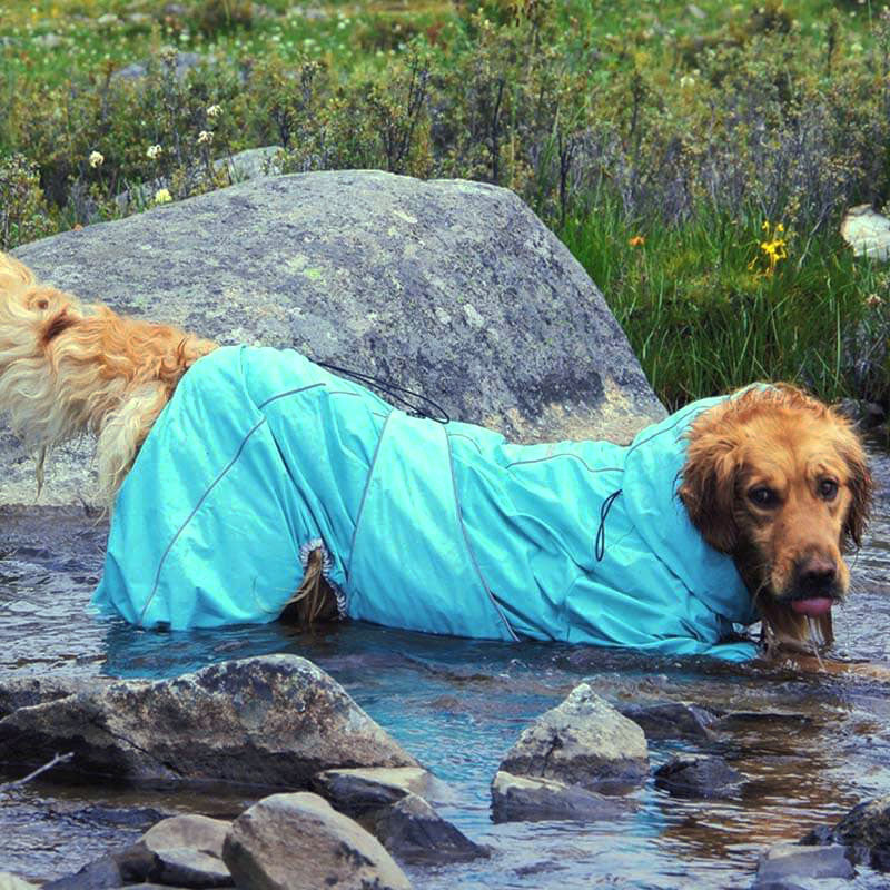 Giacca per cani grandi da esterno impermeabile, regolabile, mantella per la pioggia per cani.