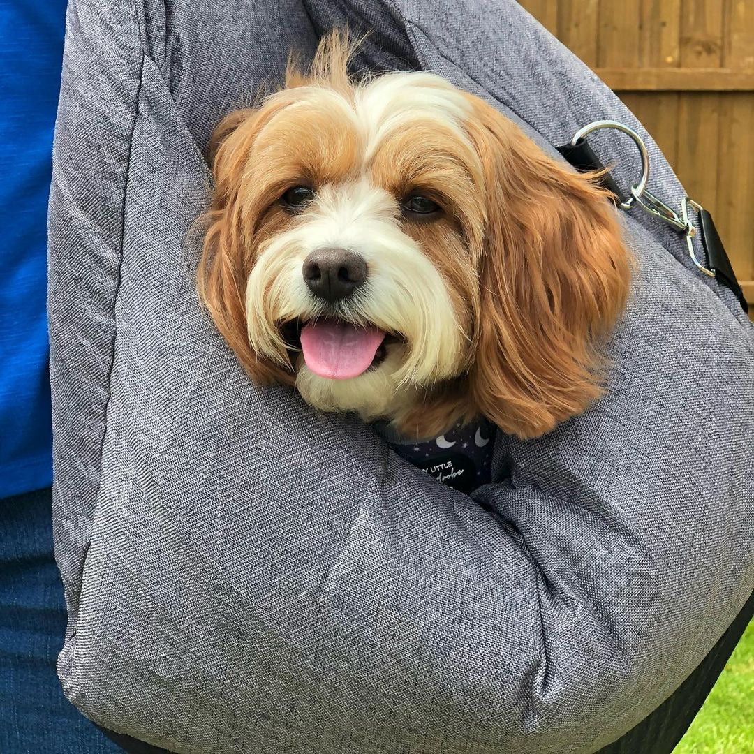 Cuscino per Auto per Cuccioli - Prima Classe