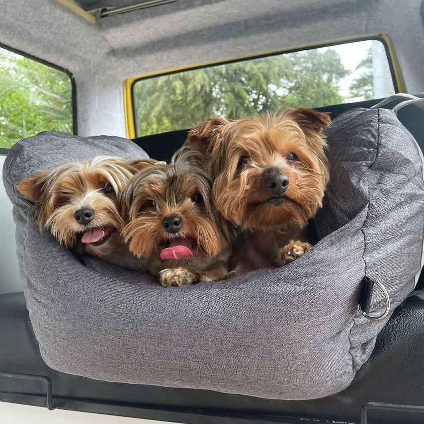 Cuscino per Auto per Cuccioli - Prima Classe