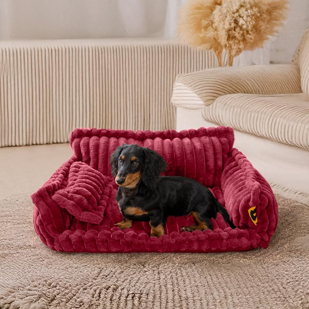 Cuscino ortopedico morbido e lavabile per cani, letto in sofà per cani - Snoozy Dream