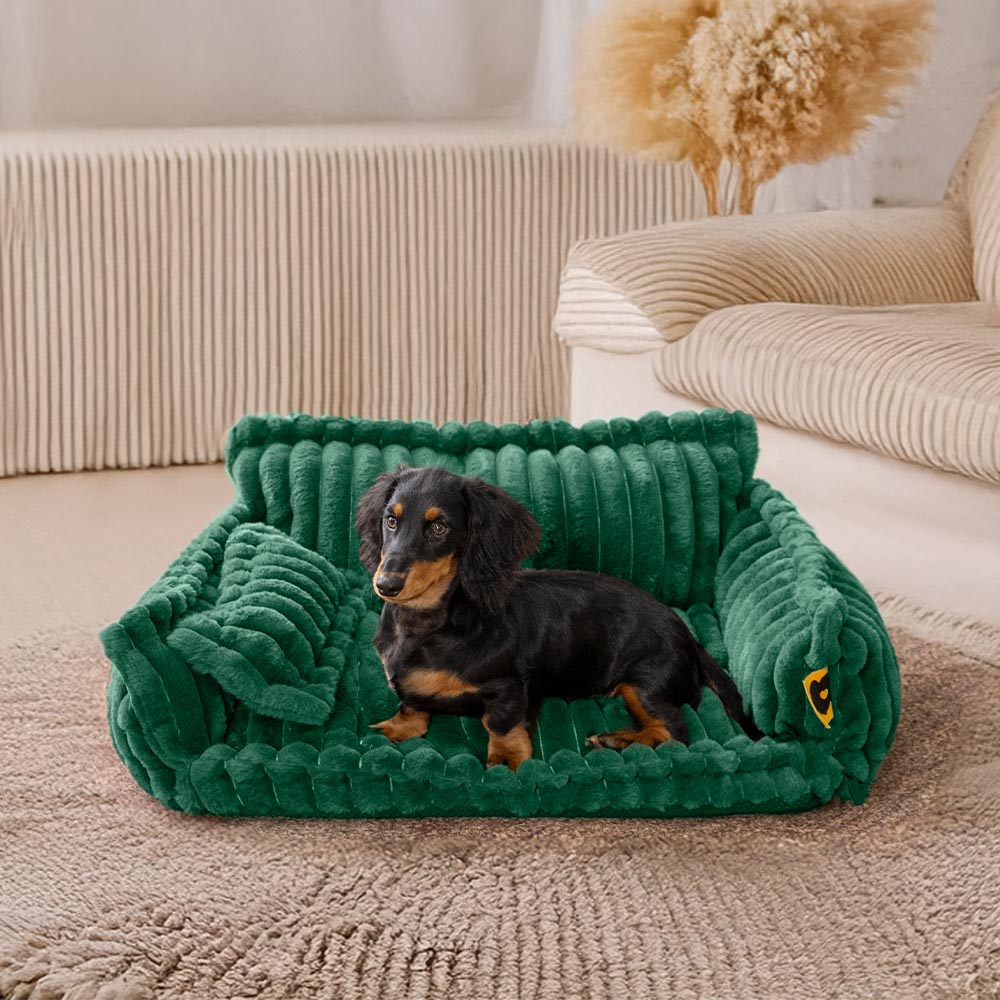 Cuscino ortopedico morbido e lavabile per cani, letto in sofà per cani - Snoozy Dream