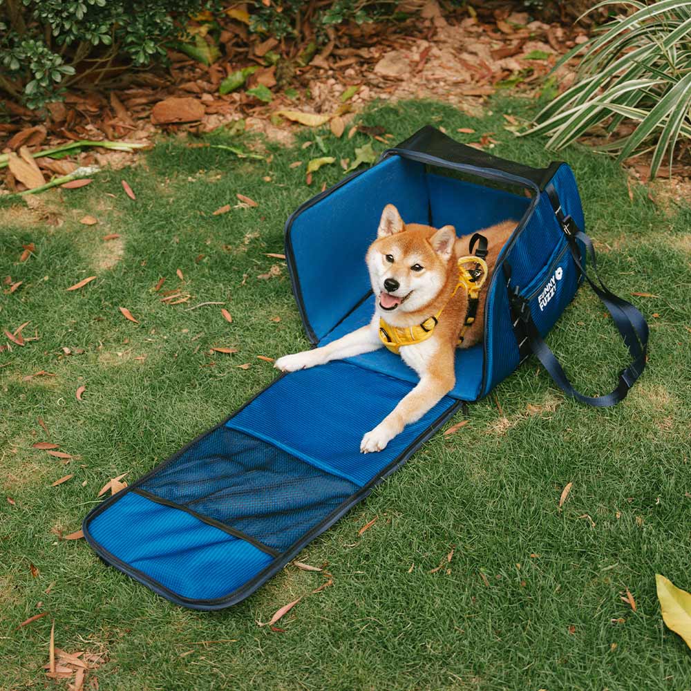 Seggiolino Auto Booster per Cani Sicuro Impermeabile e Trasportino per Animali - Gympet