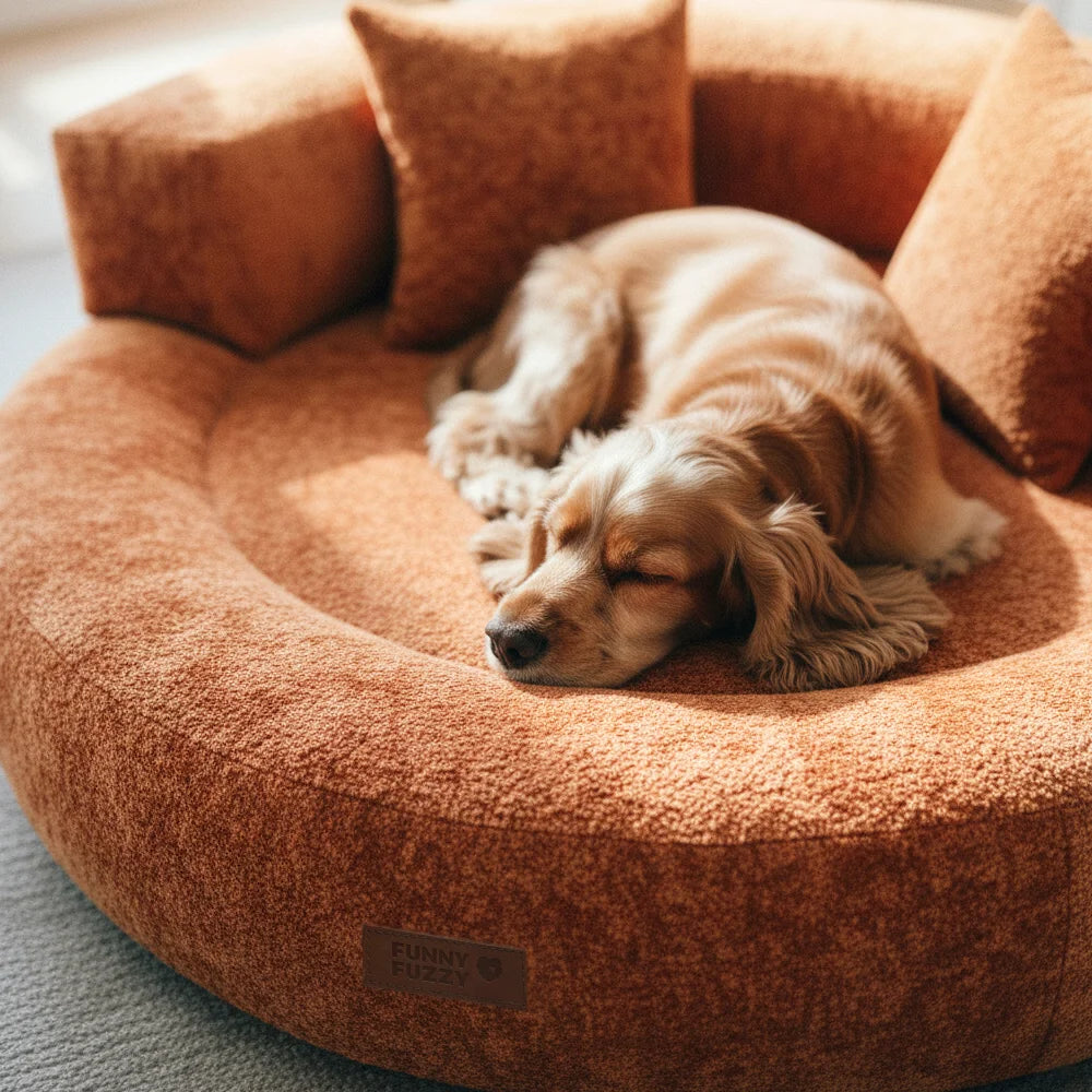 DreamNest – Letto ortopedico a ciambella in velluto con diamanti