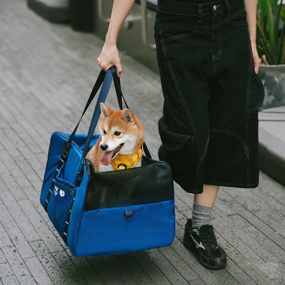 Seggiolino Auto Booster per Cani Sicuro Impermeabile e Trasportino per Animali - Gympet