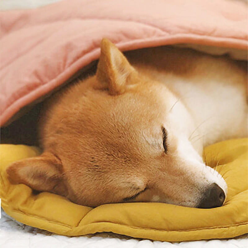 Coperta per cani a forma di foglia